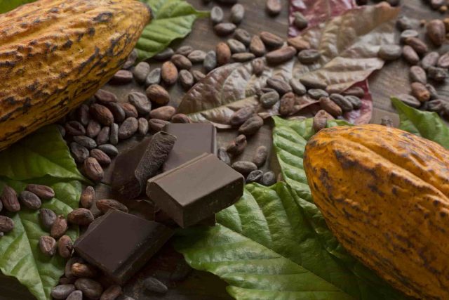 Histoire du chocolat : le produit qui a envahi le monde