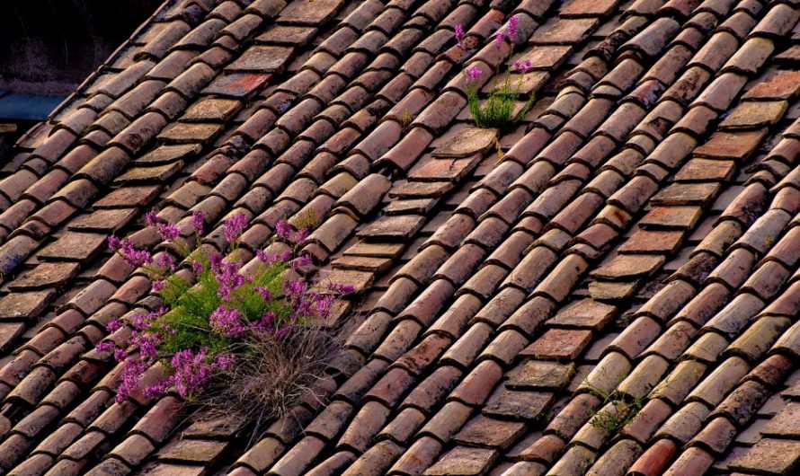 Quels sont les signes à surveiller pour la longévité de votre toiture?
